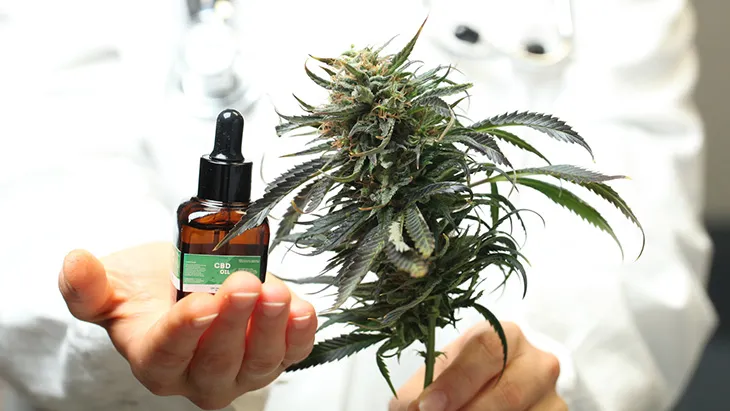 cannabis doctors australia