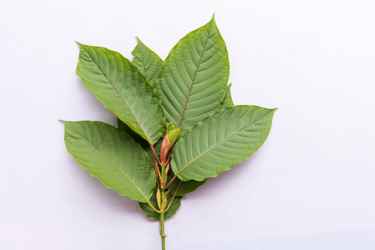 How Kratom is Being Used in Weight Loss and Wellness Programs